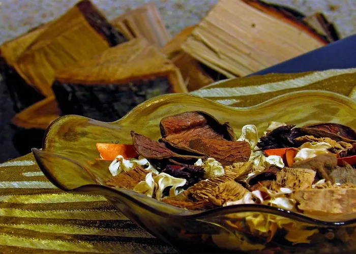 4epoxesxenonas Panzió